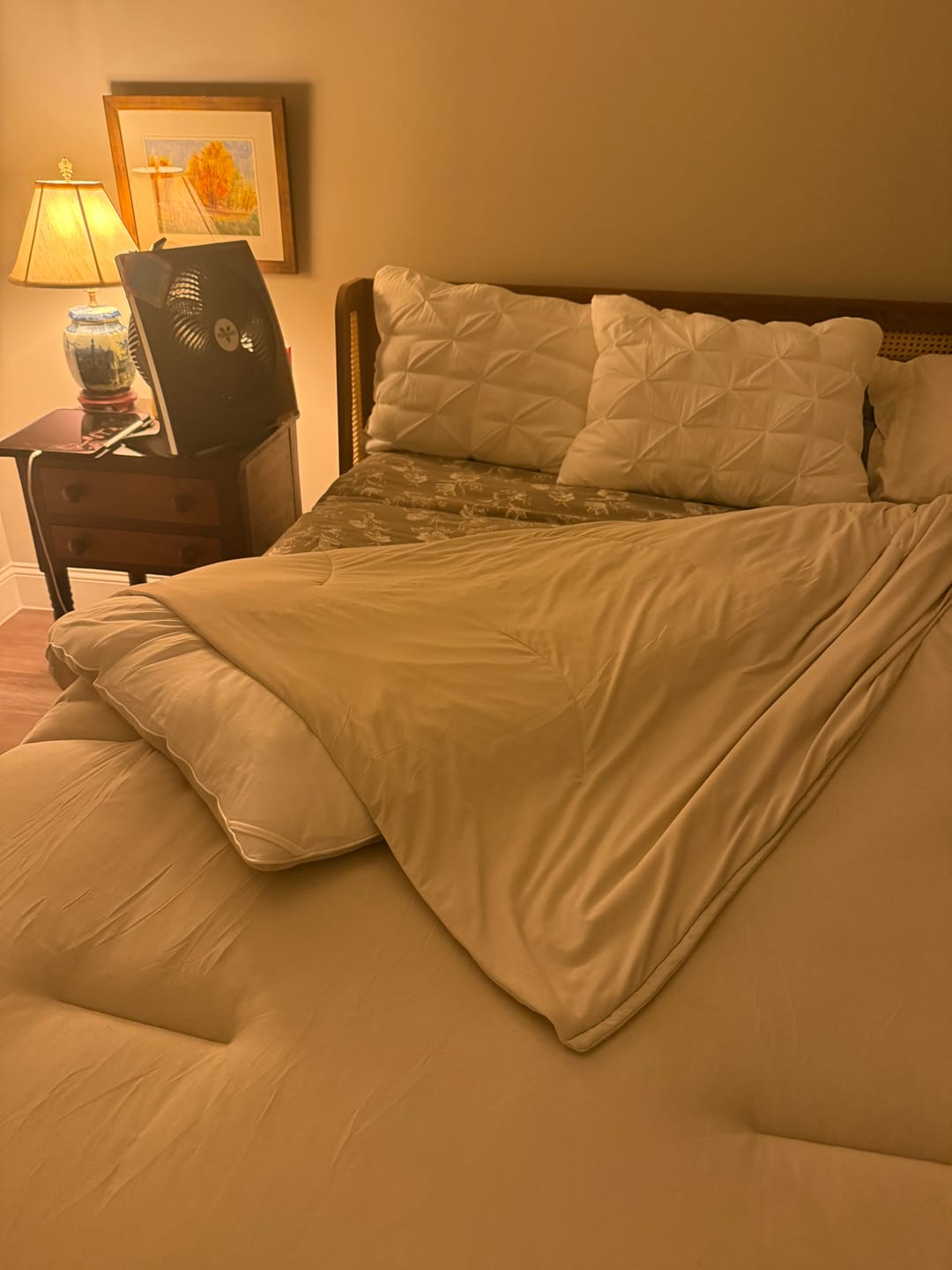 Customer photo review of MarshMellow Comforter