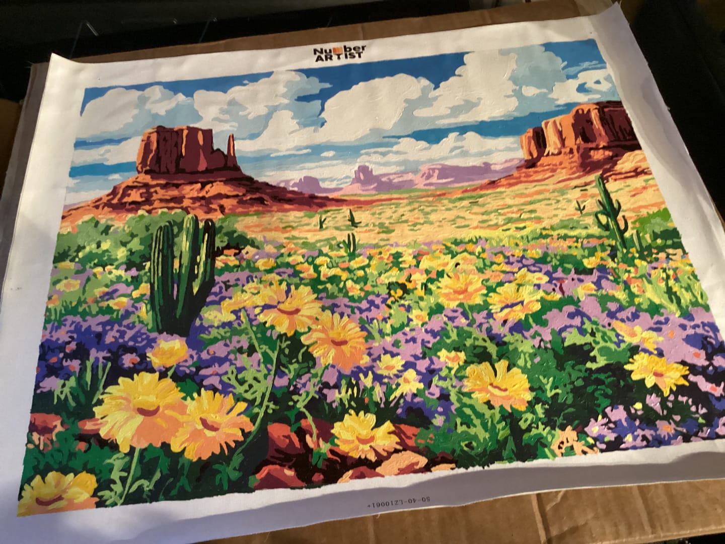 Customer photo review of Blooming Desert