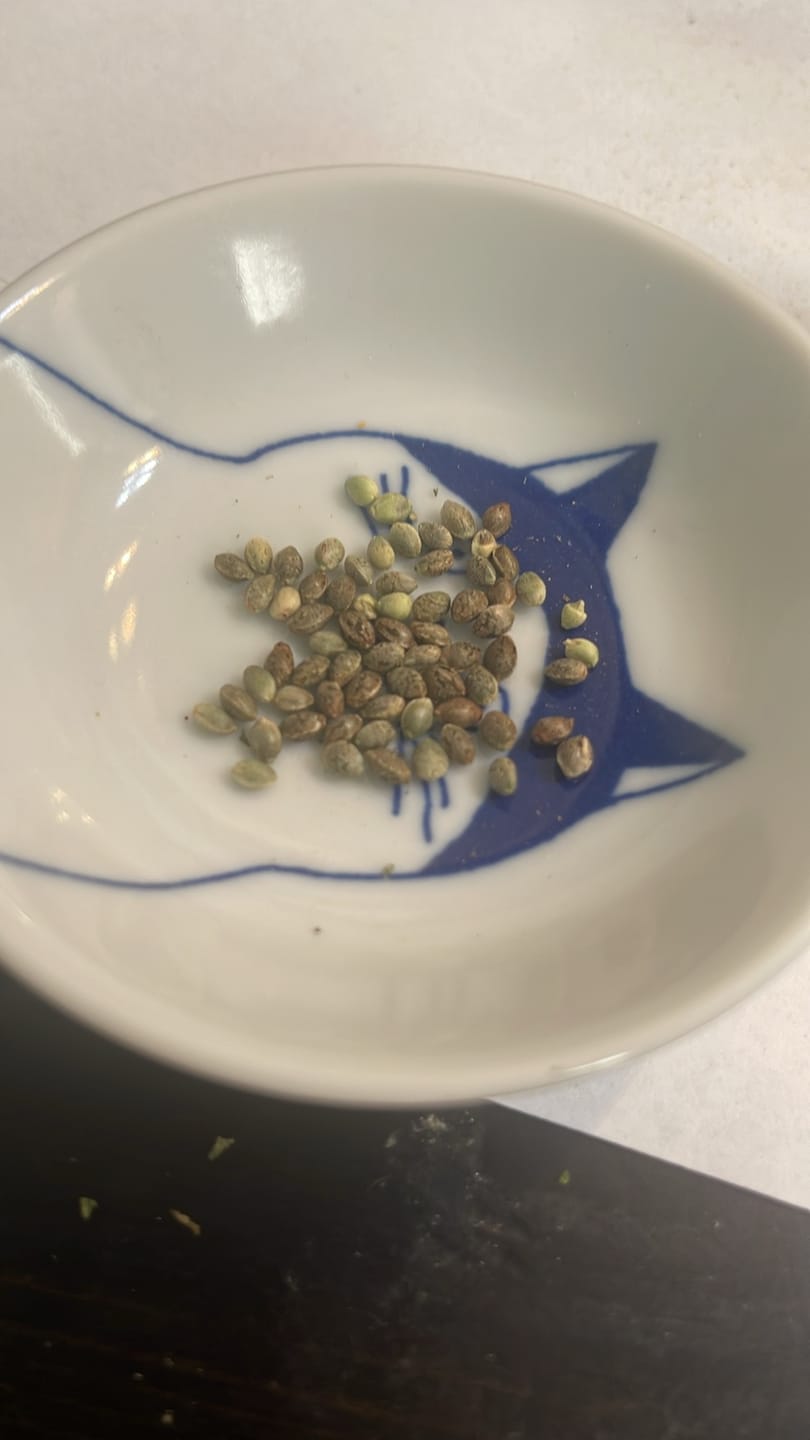Customer photo review of KIND - Blueberry Zkittlez - 28 Grams - Indica