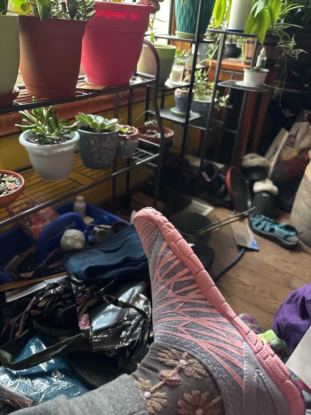Customer photo review of Solyn-Mauve (2+1)