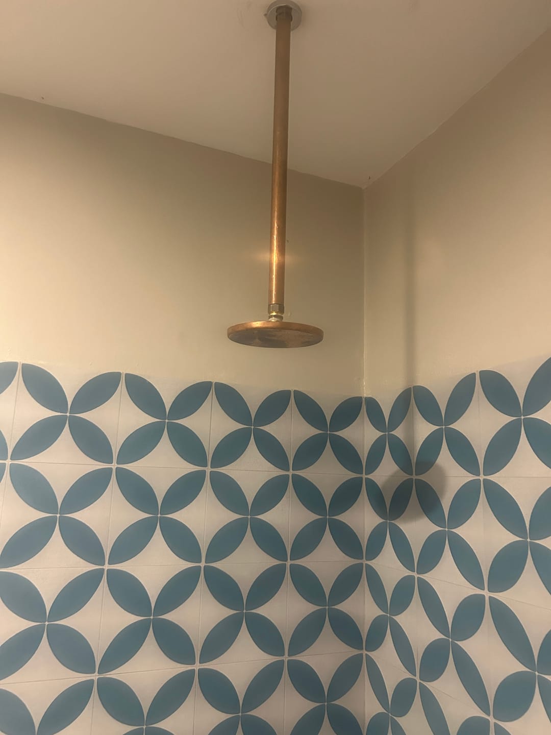 Customer photo review of Raw Copper Shower Head, Antique Copper shower head