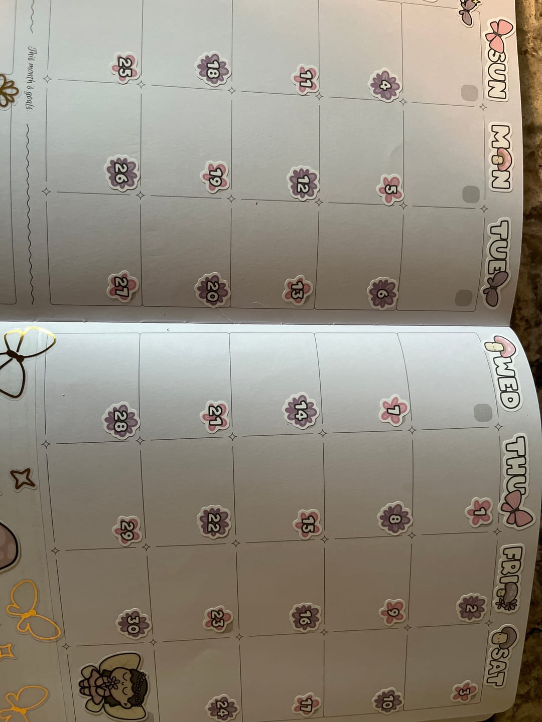 Customer photo review of Fairy Garden Days and Date Covers
