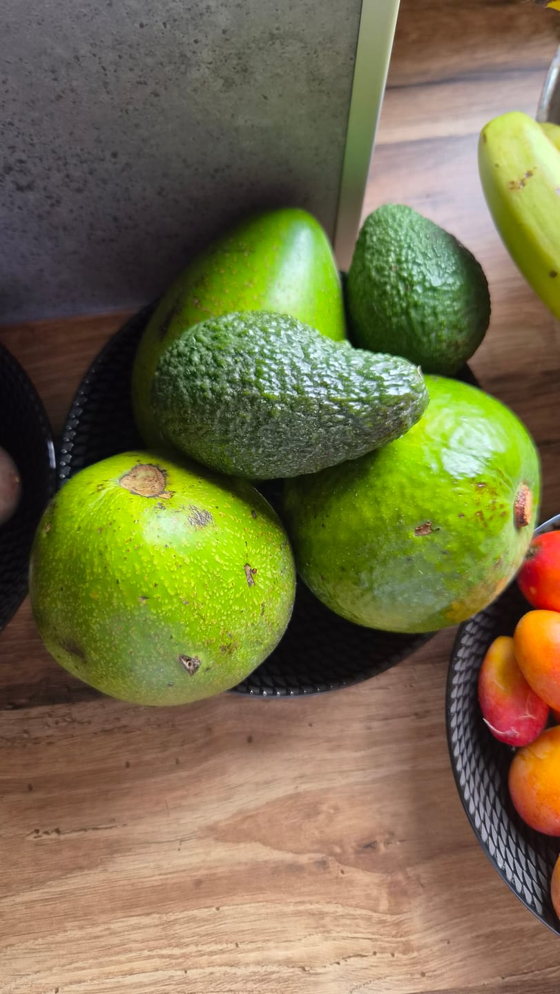 Customer photo review of Avocado Entdeckerbox Aktionspreis %