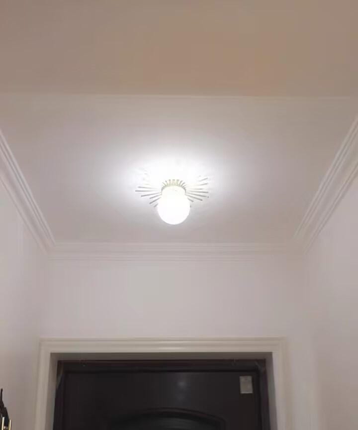 Customer photo review of Brass Ceiling Light, Frosted Glass Globe, Ceiling or Wall Mount