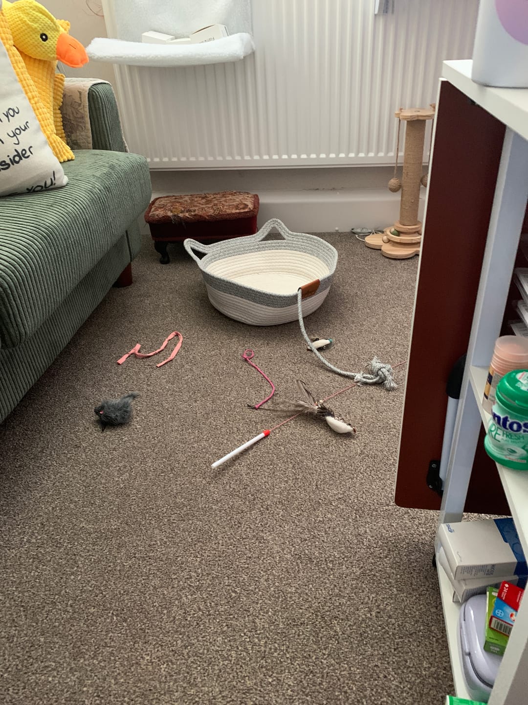 Customer photo review of Instinct Basket | Meet the first research-backed natural territory for indoor cats