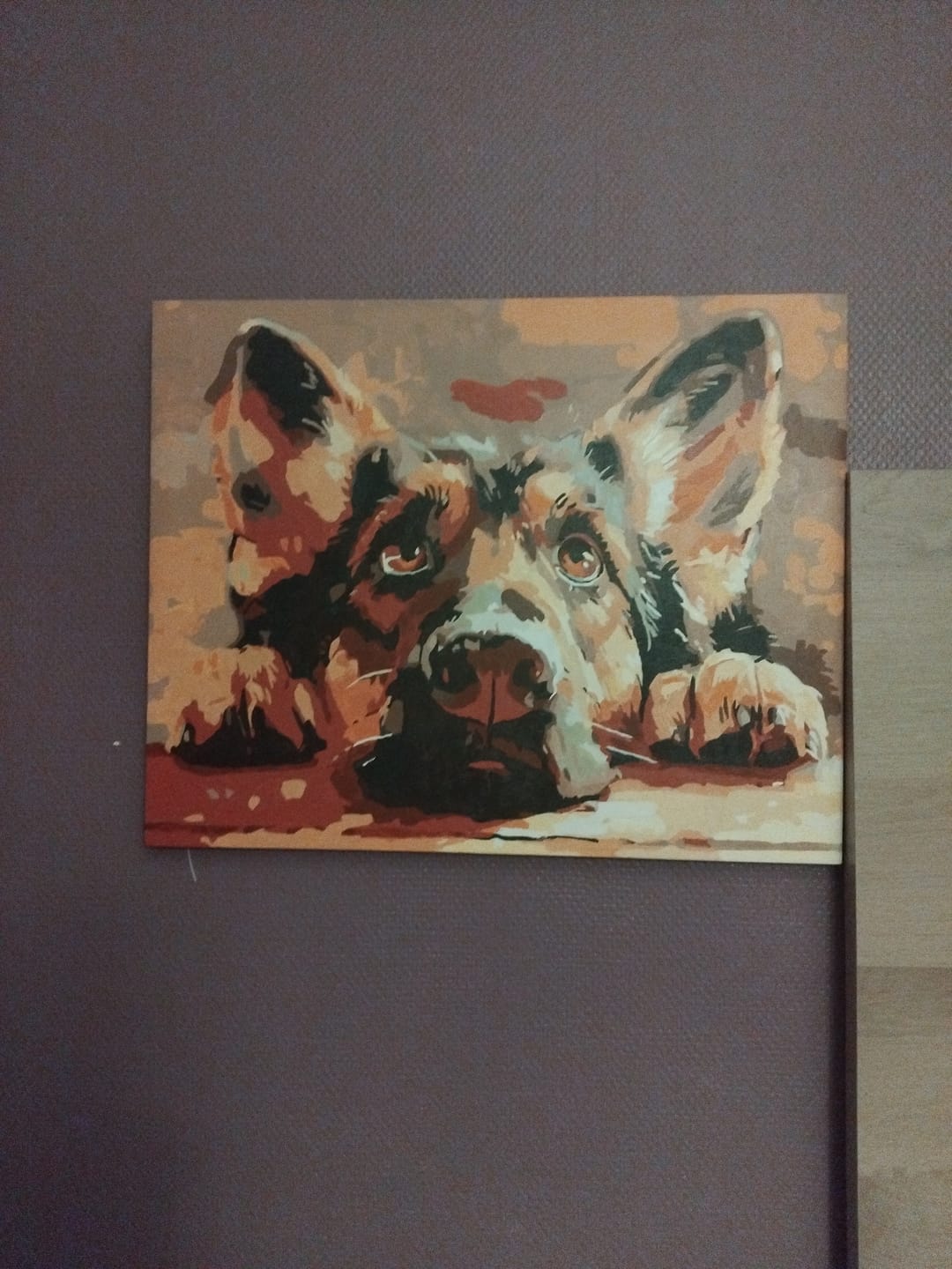 Customer photo review of Bored Shepherd