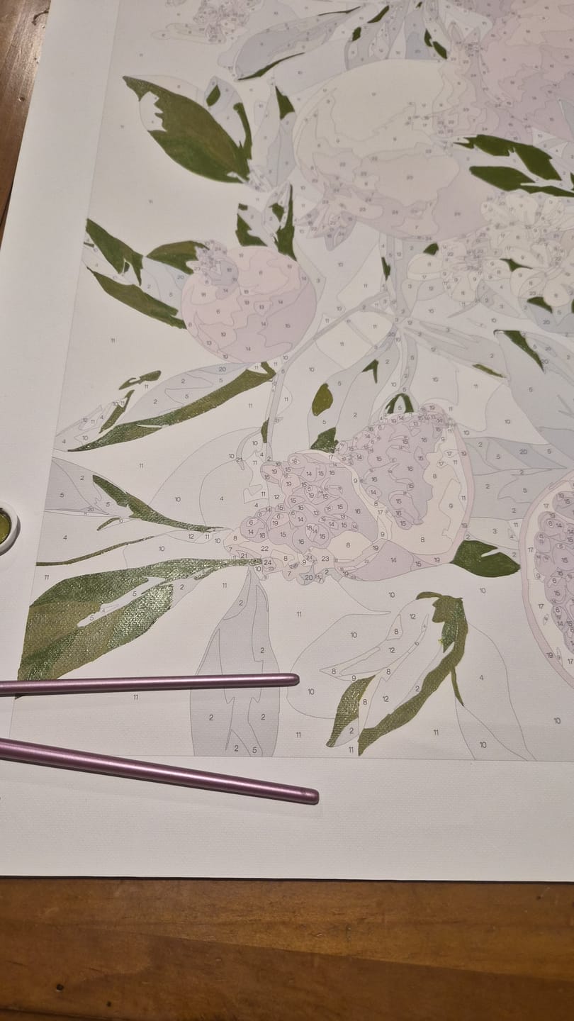 Customer photo review of Blooming pomegranates | Paint by Number