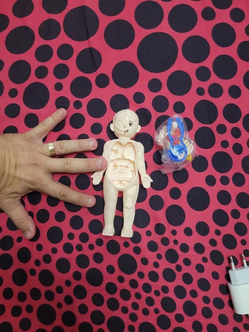 Customer photo review of Anatomiemodell Lernspielzeug | Menschlicher Körper zum Auseinandernehmen STEM Kinder