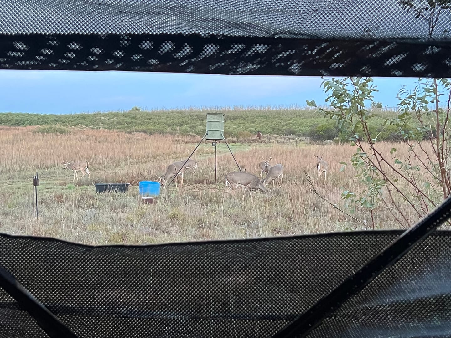 Customer photo review of VisST See Through Camouflage Hunting Blinds | 270° Portable  2-3 Person Pop Up Deer Hunting Ground blind with Silent Magnetic Door