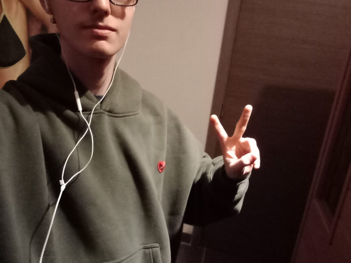 Customer photo review of Aelfric Eden Boxy Fit Distressed Washed Hoodie