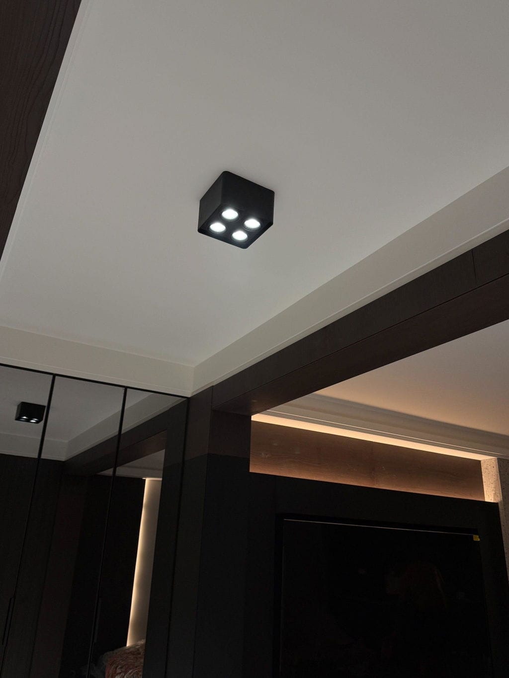 Customer photo review of Angular Steel Spotlight, 24-Degree Beam, 1 to 4 Lights