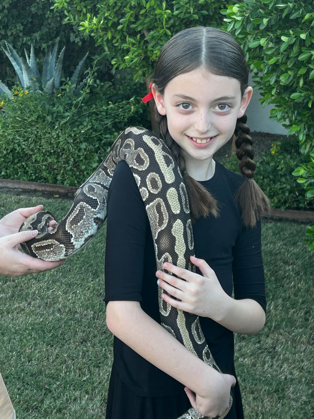 Customer photo review of Reptile Parties & Events - Arizona
