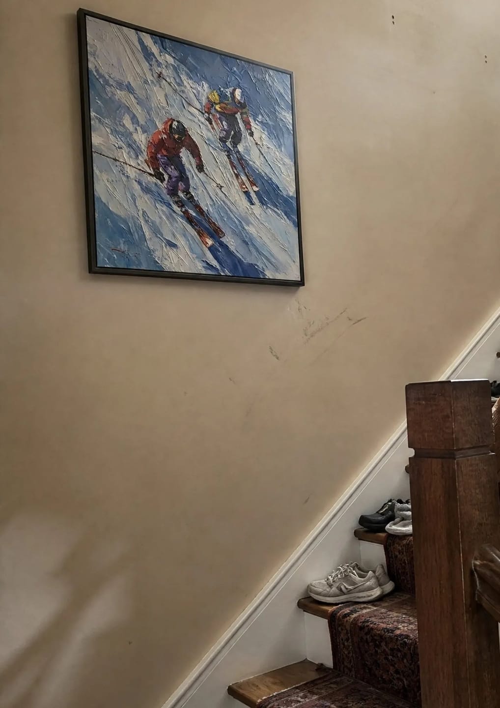 Customer photo review of Downhill Skiers