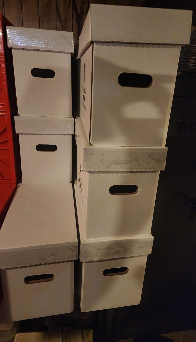 Customer photo review of Short Comic Box - 10 Pack
