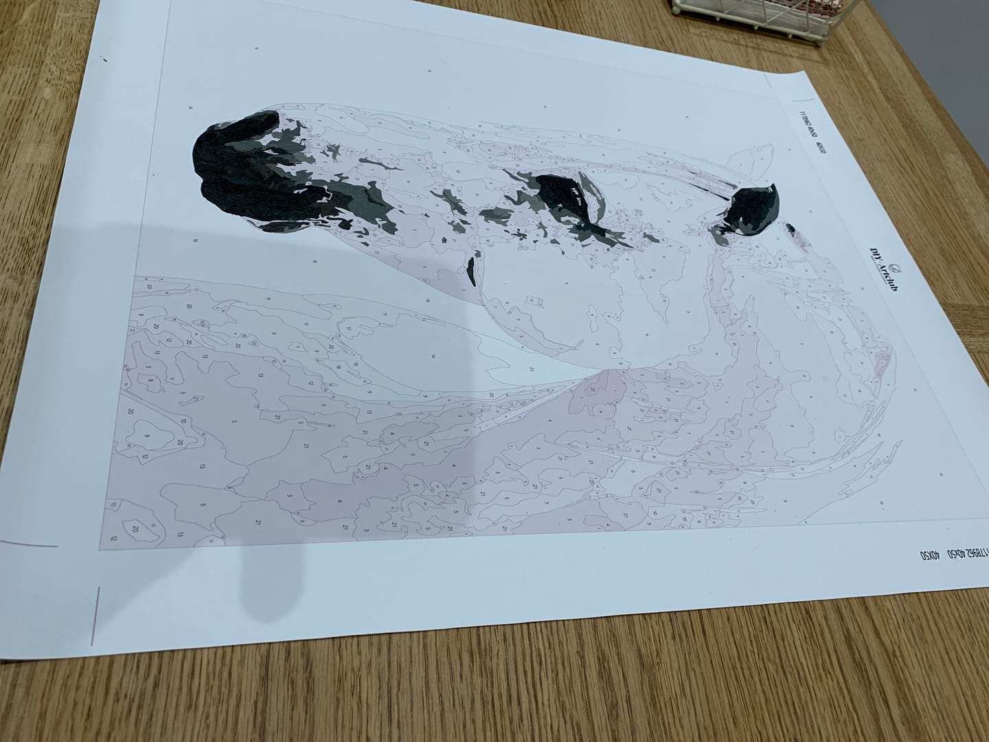 Customer photo review of Noble White | Paint by Number