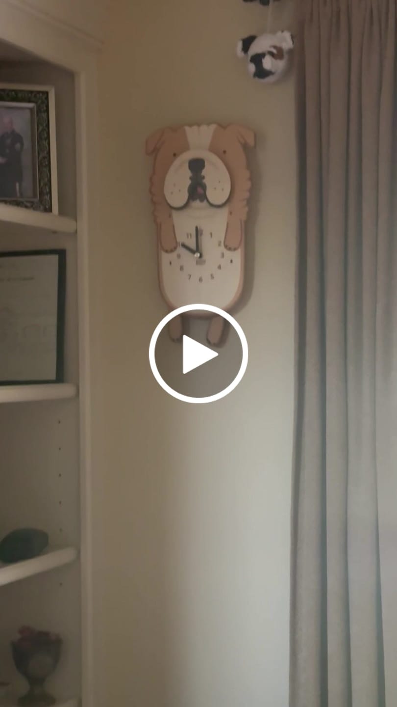 Customer video review of Rosie the Bulldog Pendulum Clock