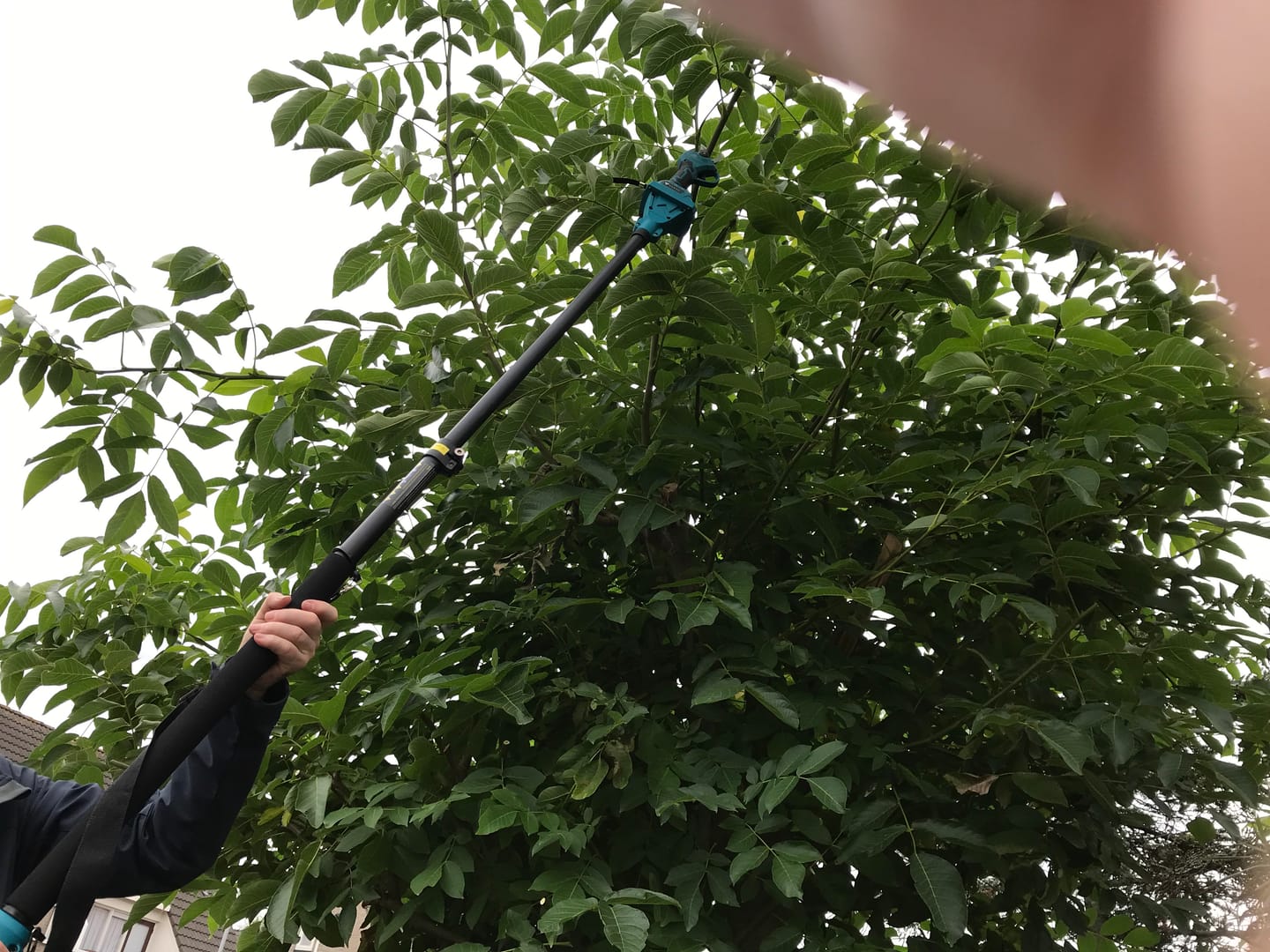 Customer photo review of Vesto® Elektrische Snoeischaar met verlengsteel