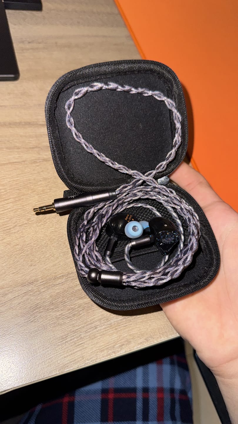 Customer photo review of Kiwi Ears Astral IEM Kulaklık