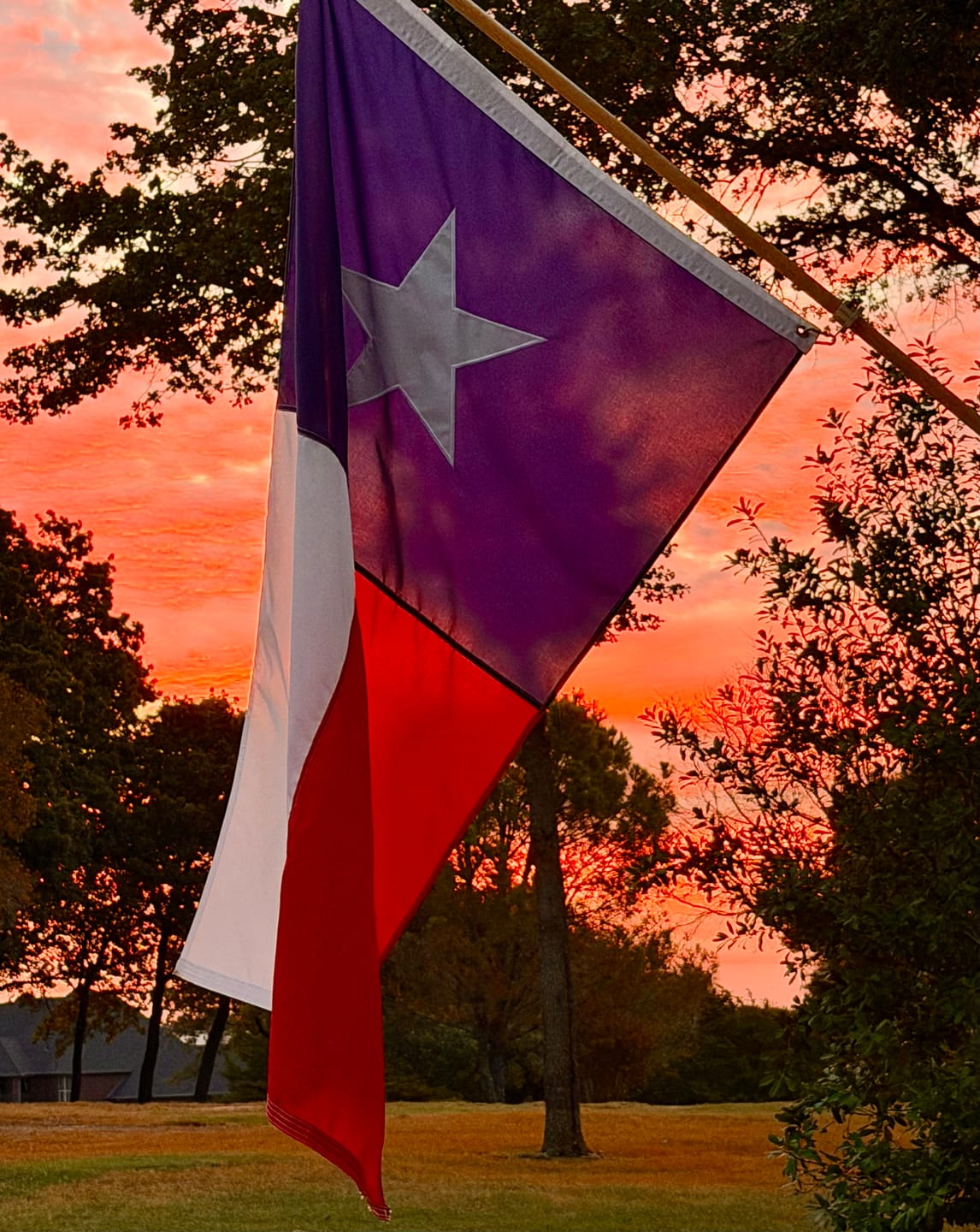 Customer photo review of 3' x 5' Texas Flag