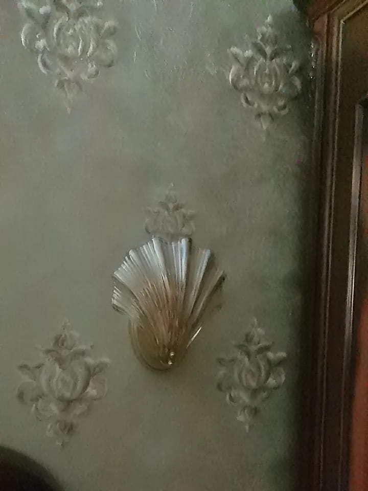 Customer photo review of Shell-Shaped Wall Light, Brass Plate, Amber or Clear, Wall Sconce