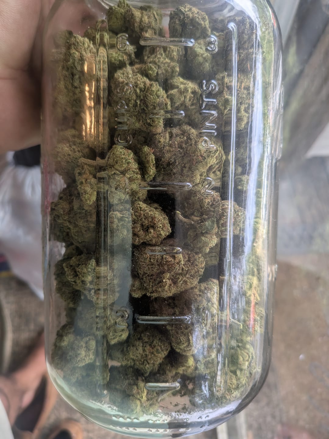 Customer photo review of Gorilla Glue THCA Flower