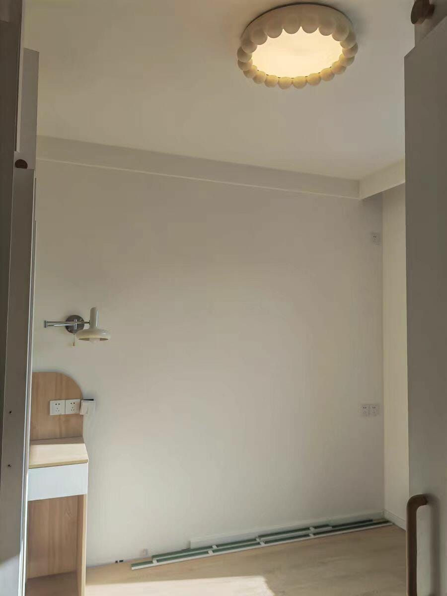 Customer photo review of Round Resin Ceiling Light, Acrylic Diffuser, 44 cm