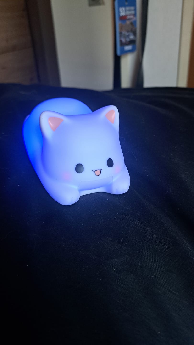 Customer photo review of Schlafende Katze Nachtlicht mit Farbwechsel