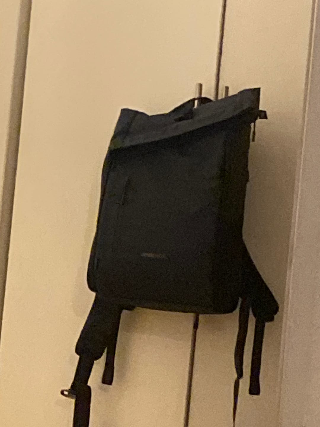 Customer photo review of The Rolltop 25L