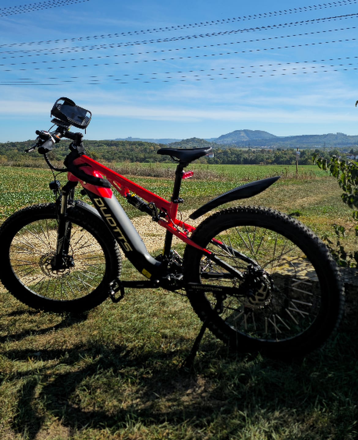 Customer photo review of DUOTTS E29 Electric Bike