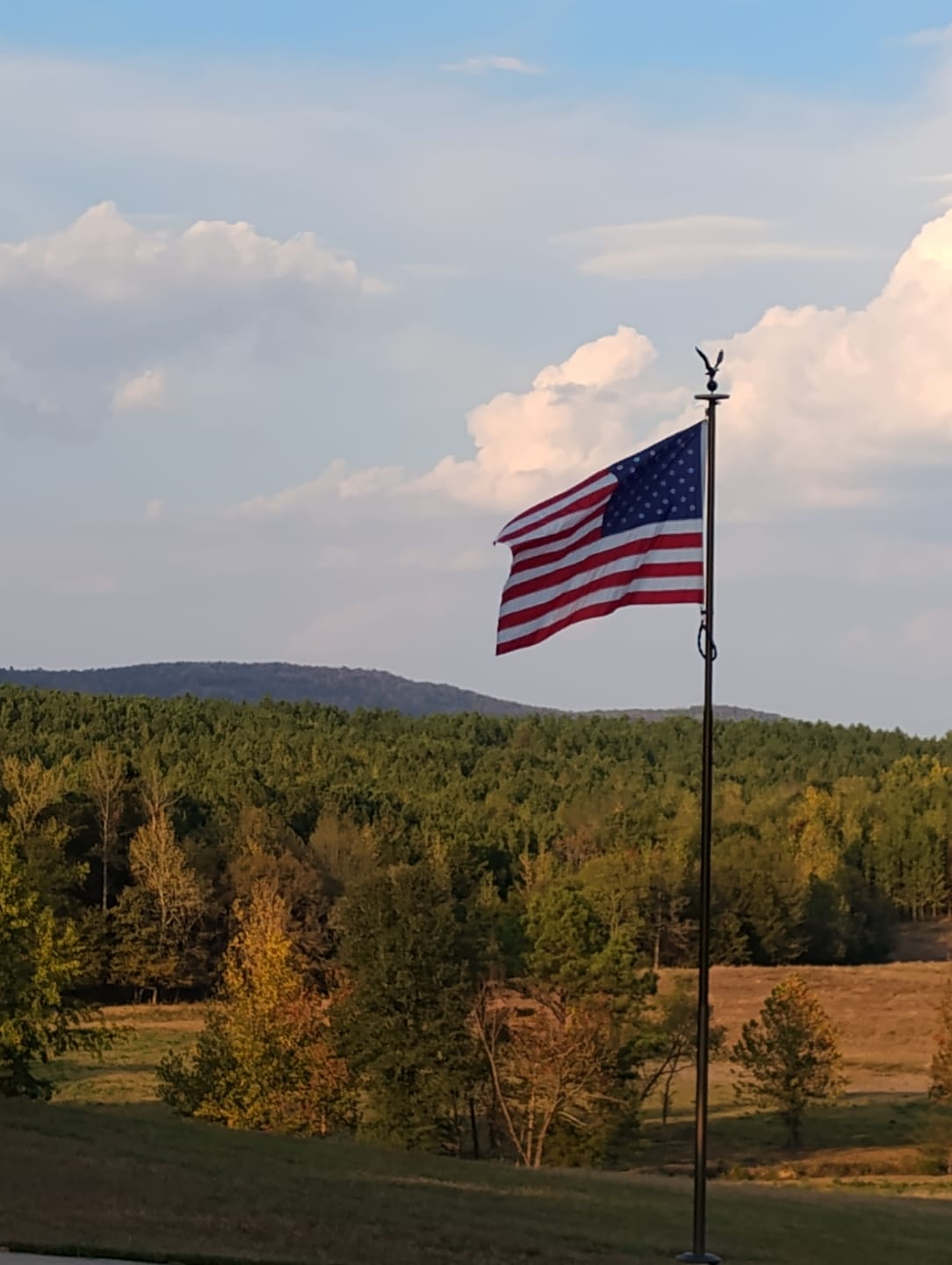 Customer photo review of 4' x 6' American Flag