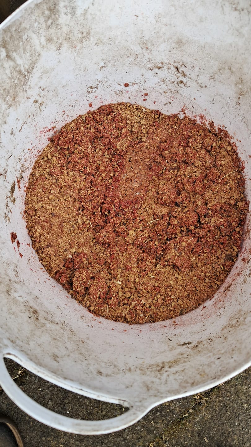 Customer photo review of Harvest Grains Pink Mash