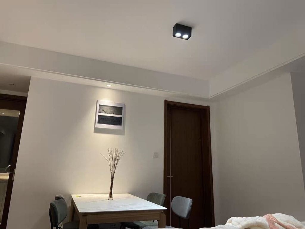 Customer photo review of Angular Steel Spotlight, 24-Degree Beam, 1 to 4 Lights