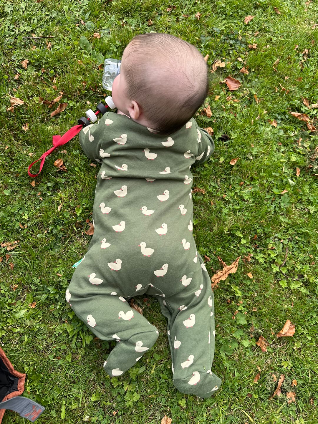 Customer photo review of Olive Ducks Organic Babygrow