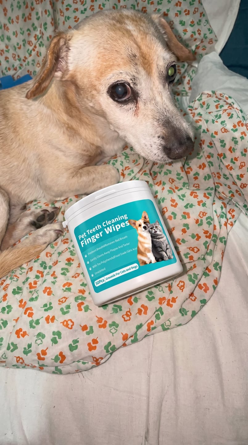 Customer photo review of Toallitas dentales para mascotas