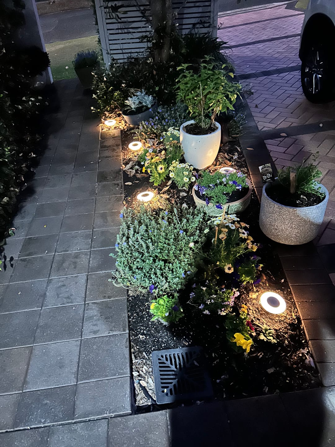Customer photo review of GardenBrite™ Rust-Proof Solar Ground Light Pack