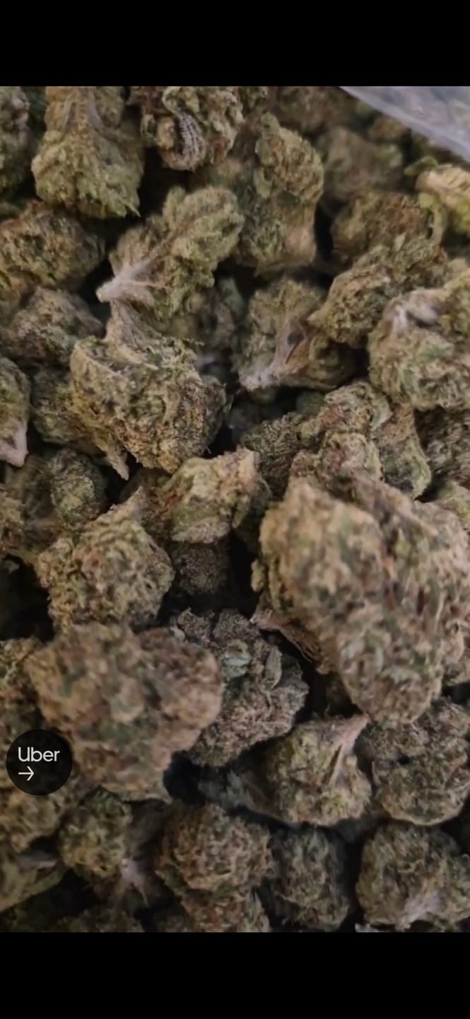 Customer photo review of Gas Face - Bulk - (Indica)