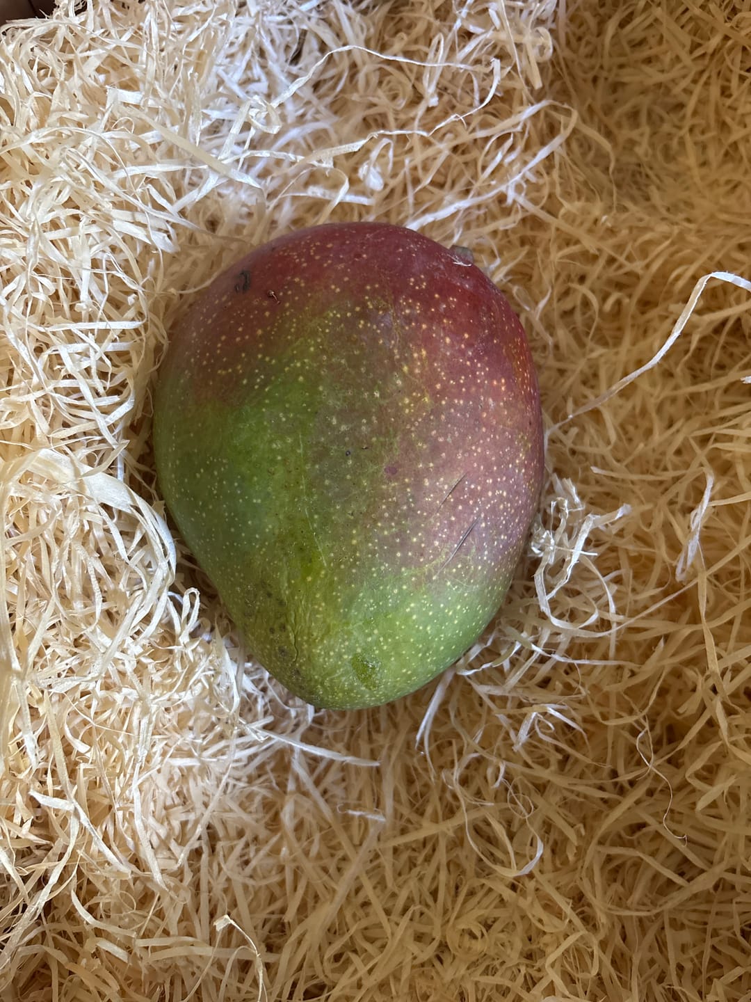 Customer photo review of Mango Tropigold 1 Stk.