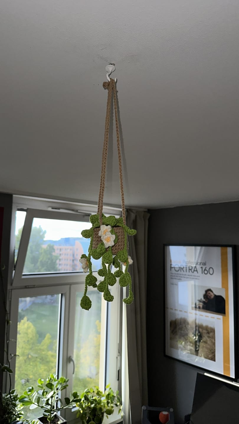 Customer photo review of Hängepflanzen