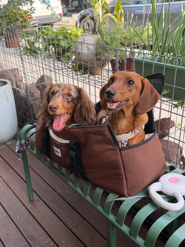 Customer photo review of Dachshund Carrier Backpack – Extra-Long Design with Removable Support Cushion