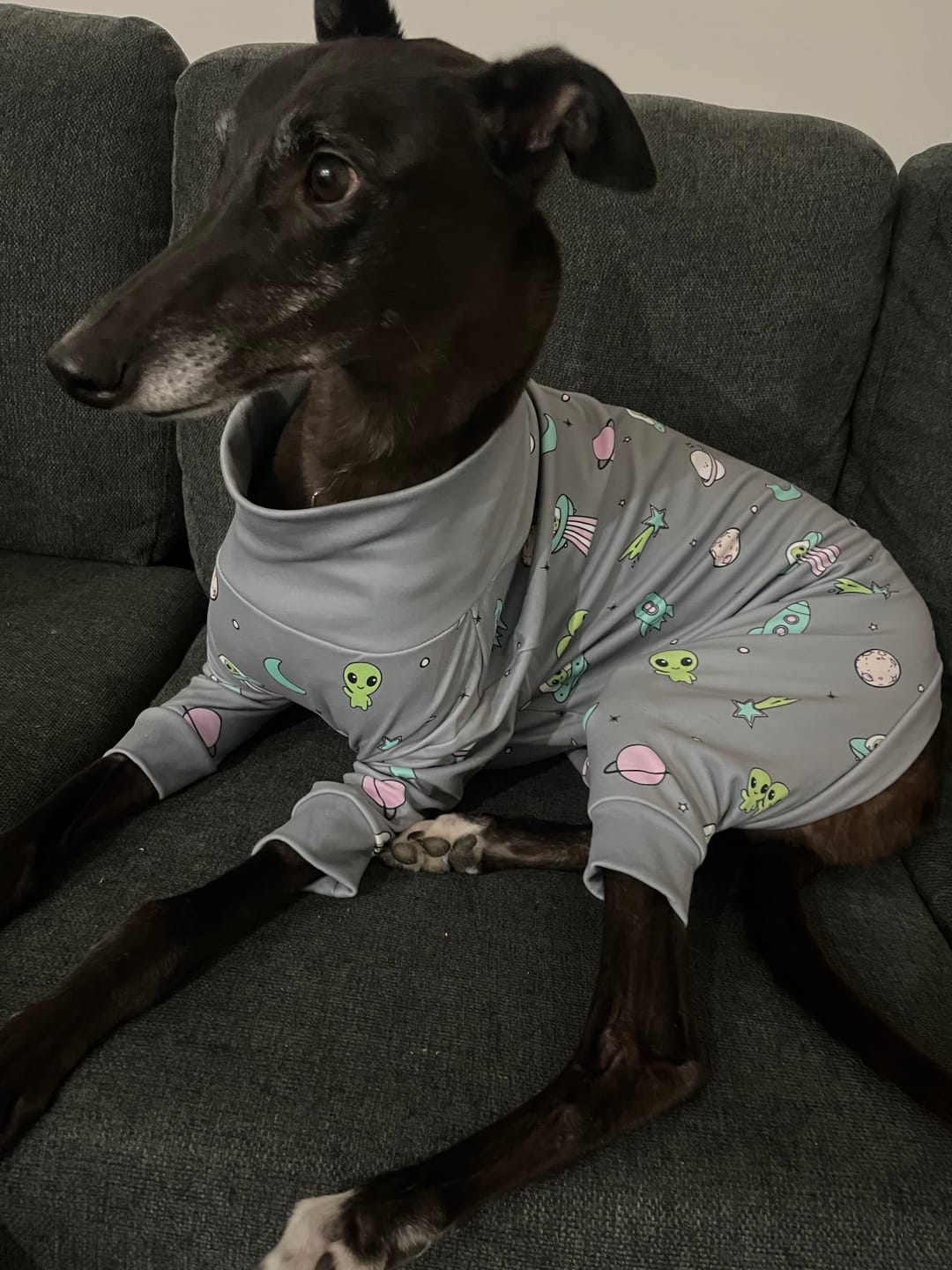 Customer photo review of Dog Pajama - Alien