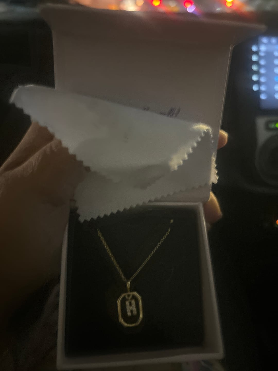 Customer photo review of Initial Letter D Pendant