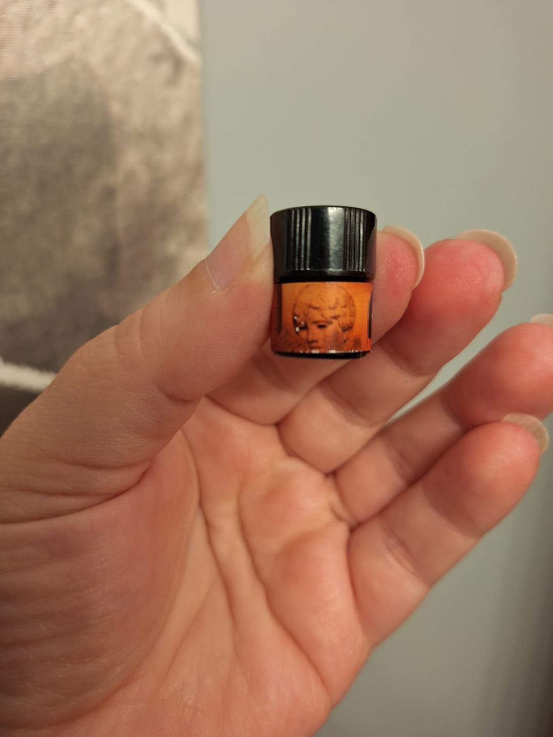 Customer photo review of Fortune Favors The Bold