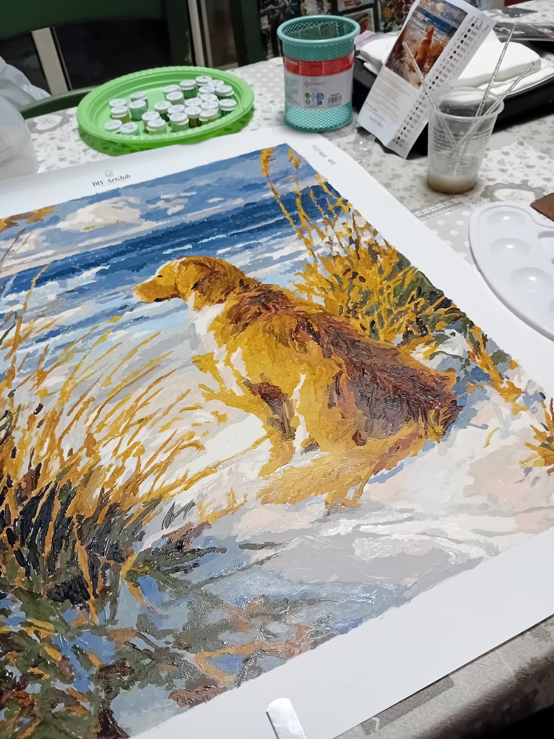Customer photo review of Waiting Labrador | Paint by Number