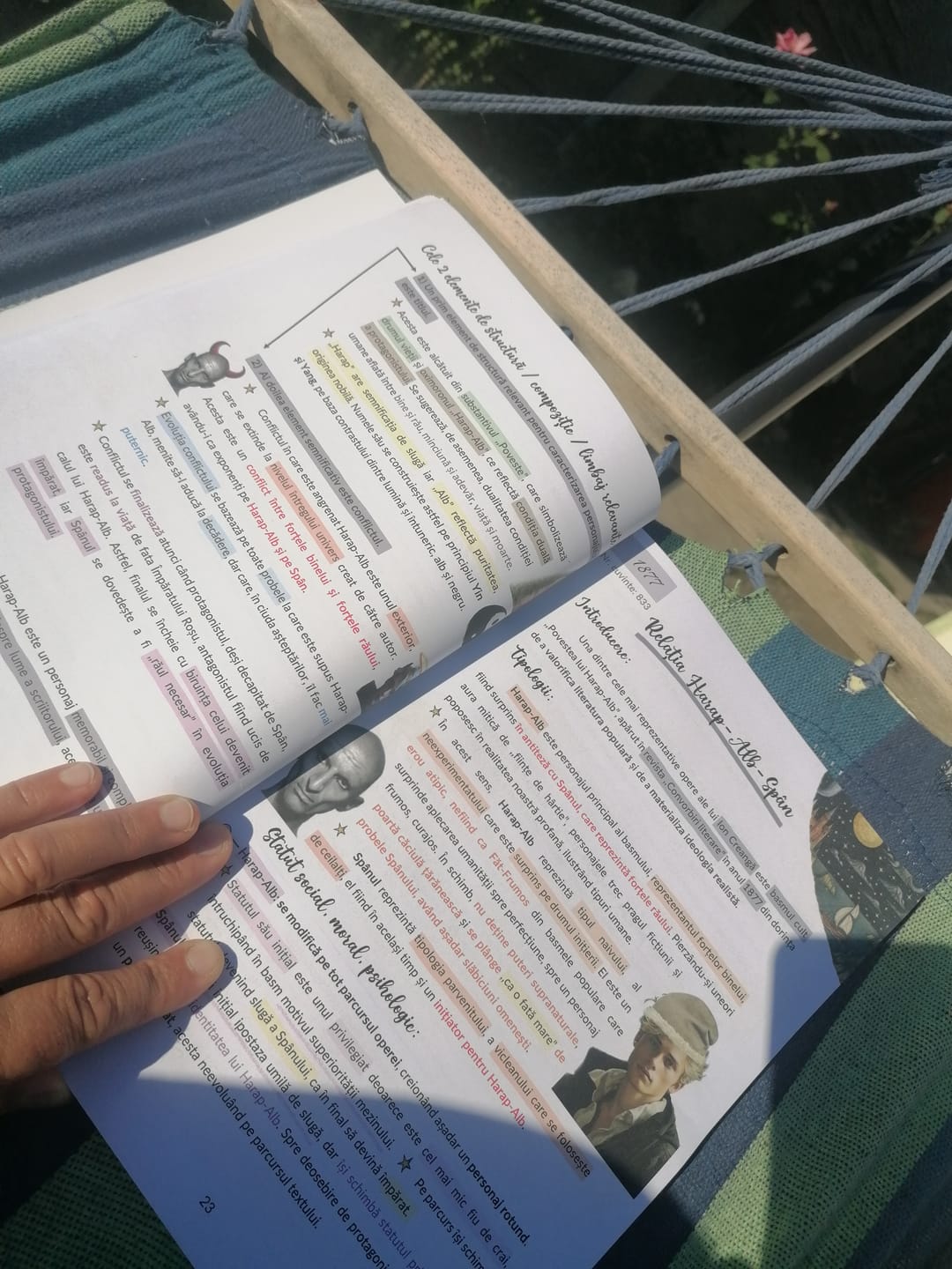 Customer photo review of Pachet Bacalaureat (Română + Matematică + Biologie Vegetală și Animală clasele IX-X) Bacademia