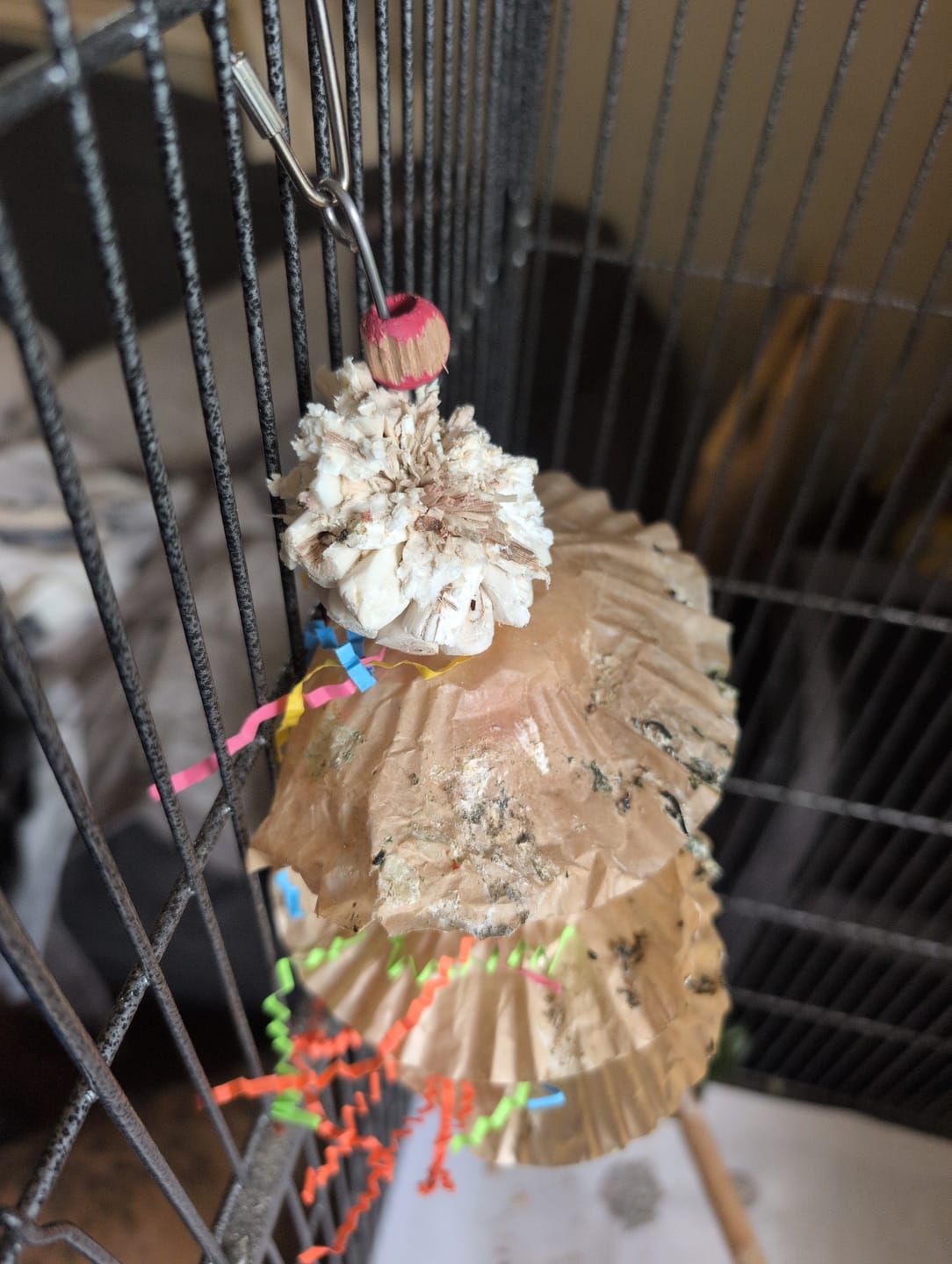 Customer photo review of Triple Scoop Bird Toy – Foraging & Chew Toy for Parrots, Cockatiels & Conures