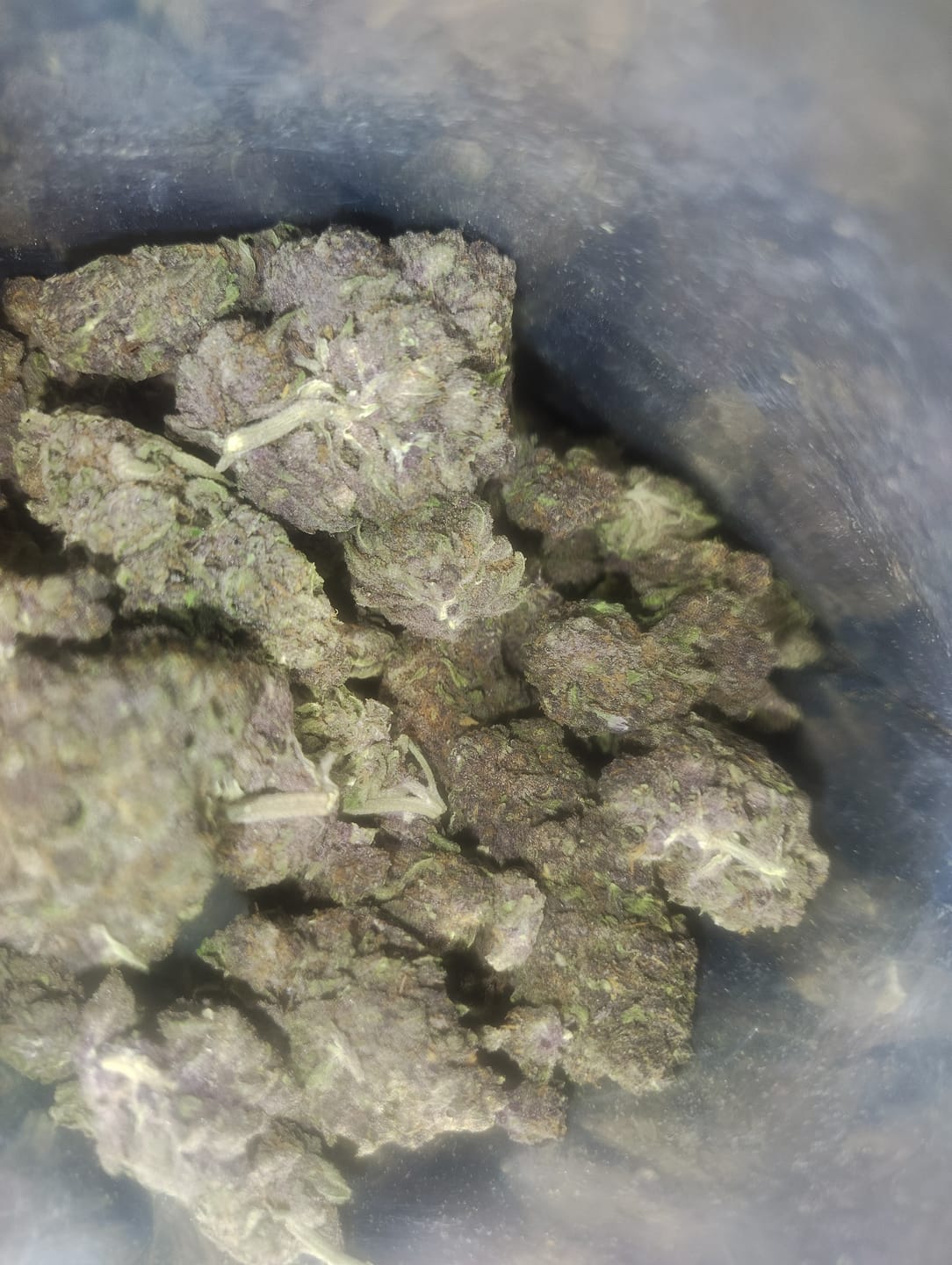 Customer photo review of Mixed Light THCA Flower