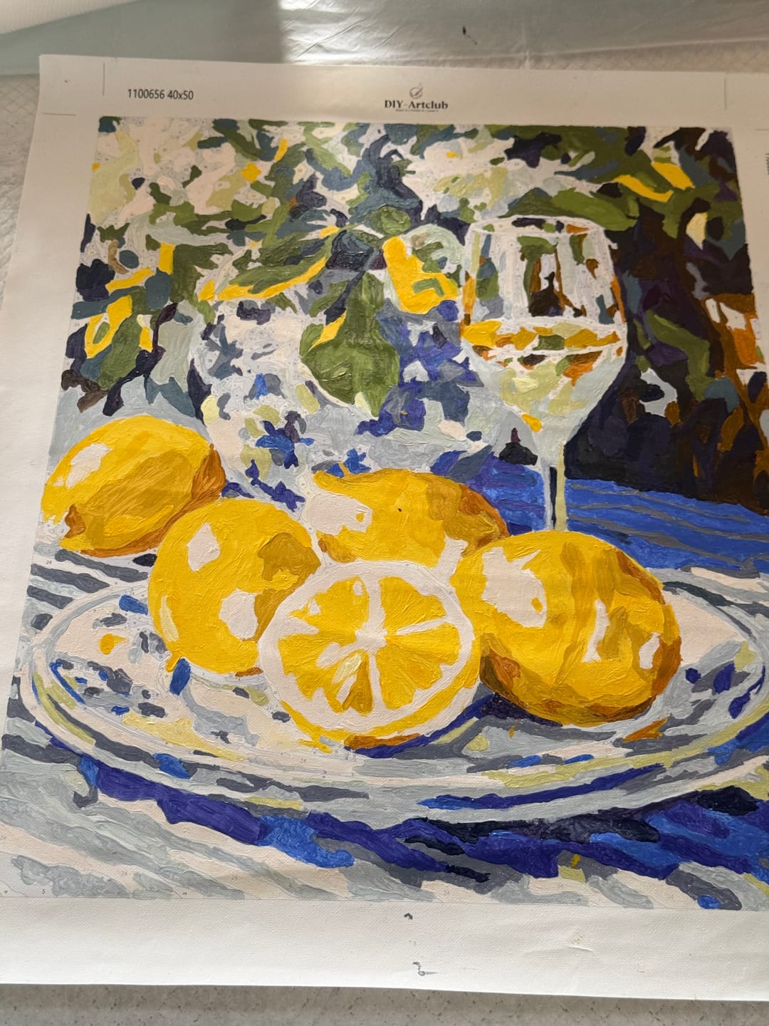 Customer photo review of Lemons and Wine | Paint by Numbers