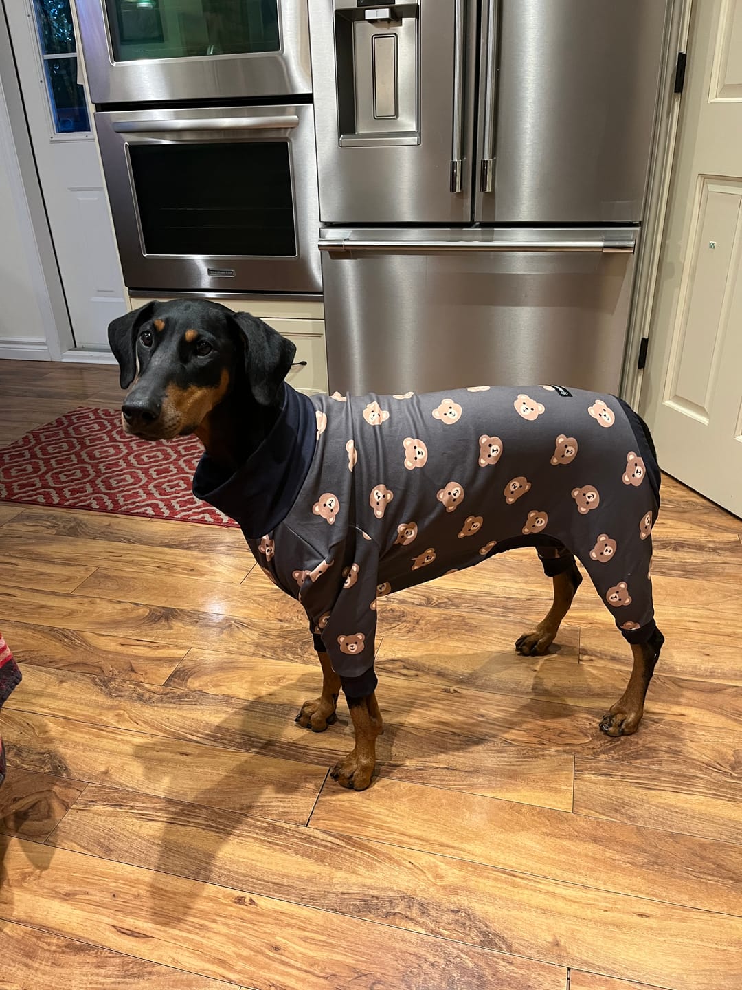 Customer photo review of Dog Pajama - Bear Black