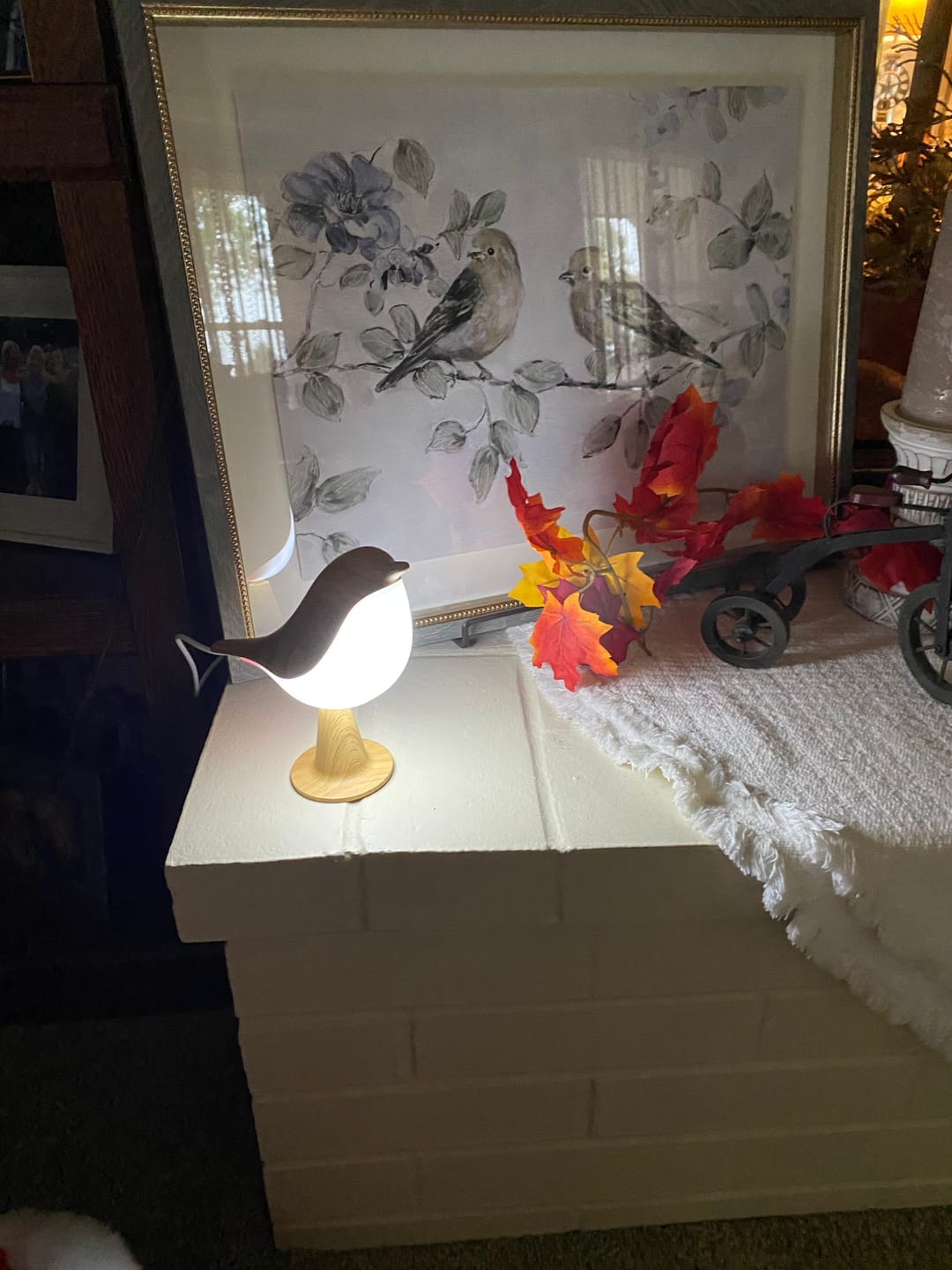 Customer photo review of Glow Bird