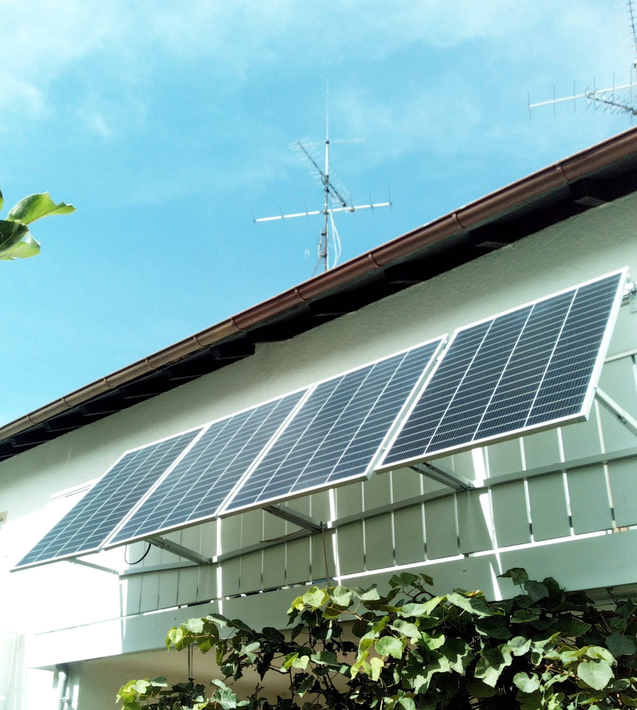 Customer photo review of Ray Lite Balkonkraftwerk 200W~1200W